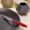 Coltello Vero in acciaio inox